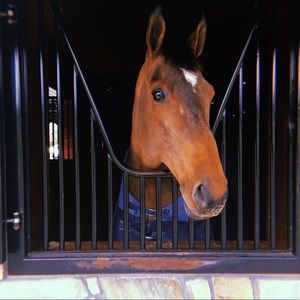 Meet your Posher, Ryleigh